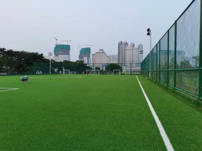 ฟุตบอลมืออาชีพหญ้าเทียมพื้นกีฬาสำหรับฟุตบอล 0