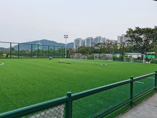 จีน หญ้าเทียมสนามหญ้าเทียมขนาด 70 มม. และพื้นสนามกีฬา ผู้ผลิต