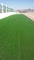 สวนกลางแจ้ง หญ้าเทียม เก็บน้ำ 6000 Dtex ผู้ผลิต