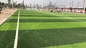 หญ้าเทียมสนามหญ้าเทียมและพื้นสนามกีฬาที่ได้รับการรับรองคุณภาพ Pro 55mm ผู้ผลิต