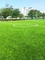 หญ้าสังเคราะห์กลางแจ้งสำหรับสนามเด็กเล่น หญ้าสนามเด็กเล่นประดิษฐ์ PE วัสดุ ผู้ผลิต
