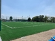 FIFA Grass Soccer Turf สนามหญ้าเทียมสำหรับฟุตบอล 50mm Pile Height ผู้ผลิต
