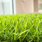 สวนประดิษฐ์ หญ้าเทียม หญ้าเทียม แบน เส้นใยเดี่ยว ความสูง 35 มม. ผู้ผลิต