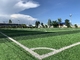 สนามหญ้าเทียมไดมอนด์ฟุตบอลที่ไม่ซ้ำใคร Olive Bi Colour PE Composition ผู้ผลิต