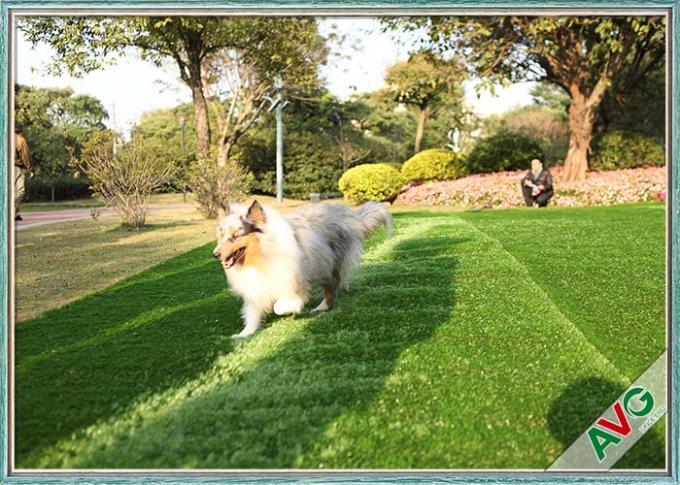 SBR Latex / PU Backing Pet หญ้าเทียม Eden Grass หญ้าสังเคราะห์สัตว์เลี้ยงรีไซเคิล 0