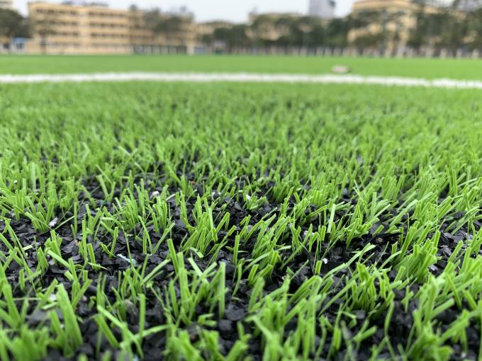 พรมหญ้าสนามหญ้า AVG 60 มม. สำหรับโรงงานสนามฟุตบอลสนามฟุตบอลกลางแจ้ง 0