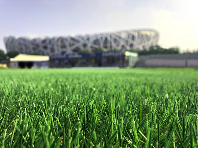 สนามหญ้าเทียมฟุตบอลหญ้าเทียมสูง 50 มม 0