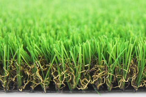 ประเทศจีน หญ้าพรมสวนธรรมชาติ วางหญ้ากลางแจ้งสีเขียว สนามหญ้าสวน ผู้ผลิต