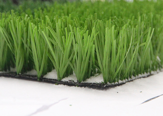 จีน Monofil PE Yarn ผู้ผลิตหญ้าเทียมสีเขียวสำหรับกีฬาสนามฟุตบอลหญ้าเทียม ผู้ผลิต