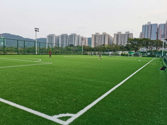 จีน อาชีพ Cesped หญ้าเทียมสนามหญ้าฟุตบอลราคาโรงงาน55mm ผู้ผลิต