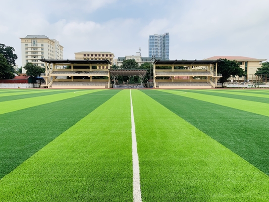 จีน พื้นสนามกีฬาหญ้าเทียม 55 มม. สำหรับสนามฟุตบอลฟุตบอล ผู้ผลิต