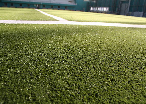 จีน Curly Sport Flooring สนามหญ้าเทียมสีฮอกกี้หญ้าเทียม ผู้ผลิต