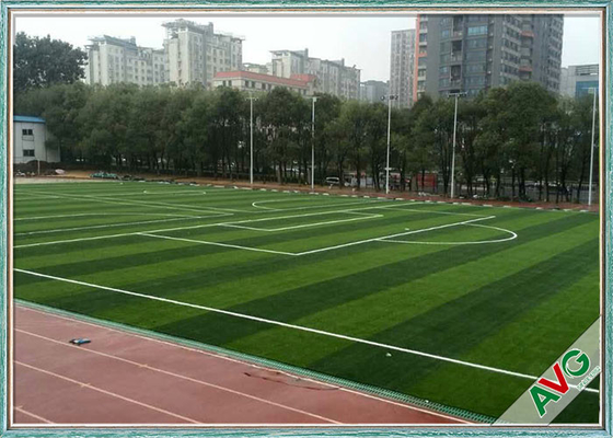 ประเทศจีน PE Soft Rebound Resilience สนามหญ้าเทียมฟุตบอลทนต่อรังสี UV ได้ดีเยี่ยม ผู้ผลิต