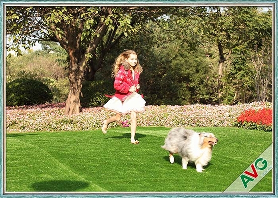 จีน SBR Latex / PU Backing Pet หญ้าเทียม Eden Grass หญ้าสังเคราะห์สัตว์เลี้ยงรีไซเคิล ผู้ผลิต