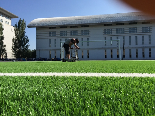 gazon ความหนาแน่นสูง Soccer Turf หญ้าเทียมฟุตบอล หญ้าเทียม 55mm ผู้ผลิต