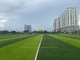 สนามฟุตบอล ไดมอนด์ 100 หญ้าเทียม สูง 45 ม. ผู้ผลิต