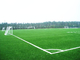 การจัดสวนสนามฟุตบอลหญ้าเทียมหญ้าเทียม SGF ISO9001 Certification ผู้ผลิต