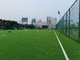 ฟุตบอลมืออาชีพหญ้าเทียมพื้นกีฬาสำหรับฟุตบอล ผู้ผลิต