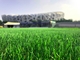 สนามหญ้าเทียมฟุตบอลหญ้าเทียมสูง 50 มม ผู้ผลิต