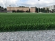 ทอสำรองหญ้าสนามหญ้าเทียมสำหรับสนามฟุตบอล ผู้ผลิต
