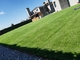 พื้นหญ้าเทียม 20-50 มม. หญ้าเทียมสนามหญ้ากลางแจ้งพรมสีเขียว ผู้ผลิต