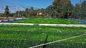 หญ้าประดิษฐ์ 50 มม. สีเขียวทน UV สำหรับสนามฟุตบอล ผู้ผลิต