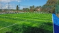 หญ้าเทียมหญ้าเทียม 60 มม. Grama Soccer ฟุตบอลสนามหญ้าสังเคราะห์ ผู้ผลิต