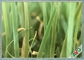 หญ้าเทียมสำหรับตกแต่งในร่ม / กลางแจ้งสำหรับระเบียง CE SGS Approved ผู้ผลิต